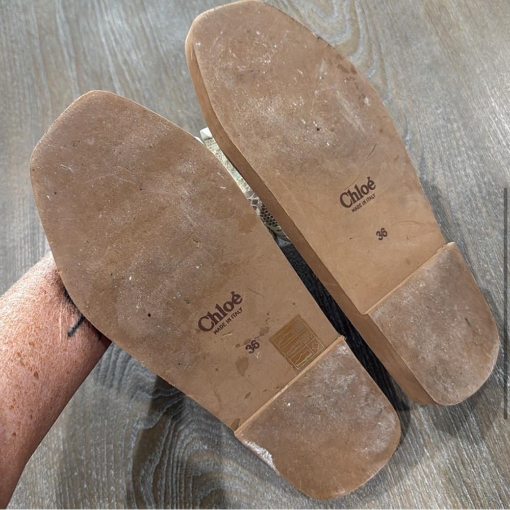 Chloe Cream and Brown Slide Sandals Authentic - Picture 6 of 7